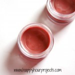 Cinnamon Lip Balm