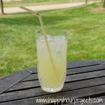Low-Cal Spiked Lemonade