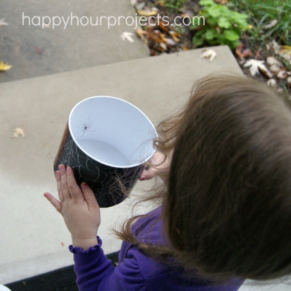 Bug Observation Box at www.happyhourprojects.com #EEKologist