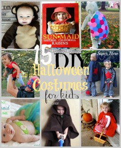 15 DIY Kids Halloween Costumes at www.happyhourprojects.com