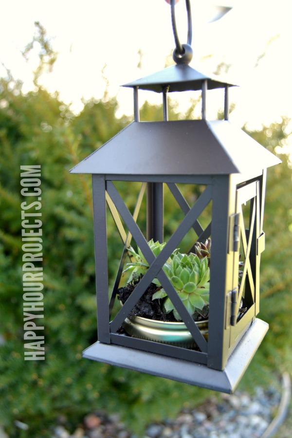 Repurposed Lantern Mini-Gardens with Succulents at www.happyhourprojects.com