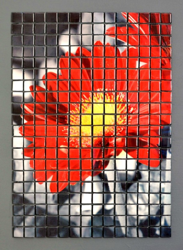 Bloom by Adrianne Surian | Artprize Seven 2015